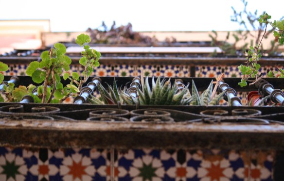 balcon_malasaña_rojomenta_rebrota