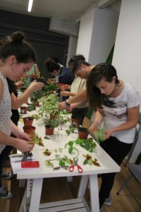 Taller_jardineria_ecológica_en balcones