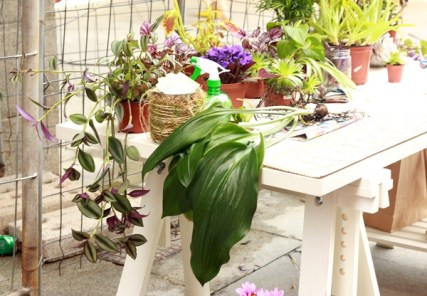 Fiestas-Dos-de-Mayo-031