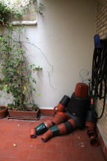 macetaamoroso_el_patio_rebrota_rojomenta