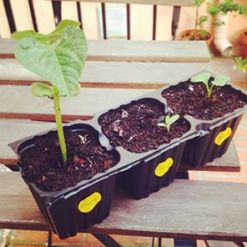 alumnos_taller_rebrota_malasaña_6