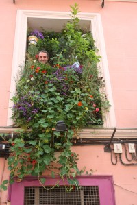 arjun_retrato_rebrota_malasana_rojomenta_concurso_madrid