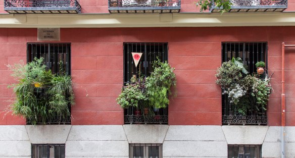 lola_rebrota_malasana_rojomenta__concurso_Madrid