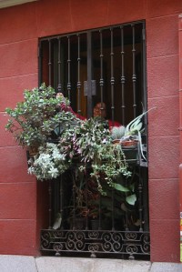 lola_rebrota_malasana_rojomenta__concurso_Madrid_2