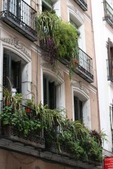 Mantenimiento blog rebrota malasaña