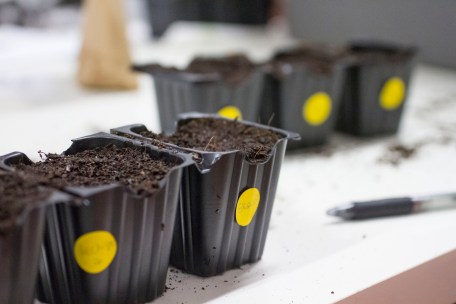 taller_huerta_rebrota_rojomenta_5