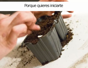 Concurso_balcones_madrid_rebrota_malasaña_madrid_5