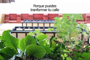 Concurso_balcones_madrid_rebrota_malasaña_madrid_8