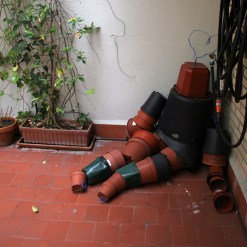 macetaamoroso_el_patio_rebrota_rojomenta_2