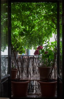 Nick_rebrota_malasana_rojomenta_concurso_balcones_madrid_2