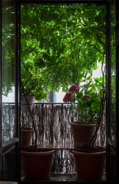 Nick_rebrota_malasana_rojomenta_concurso_balcones_madrid_2