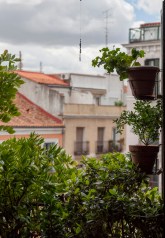 Nick_rebrota_malasana_rojomenta_concurso_balcones_madrid_4