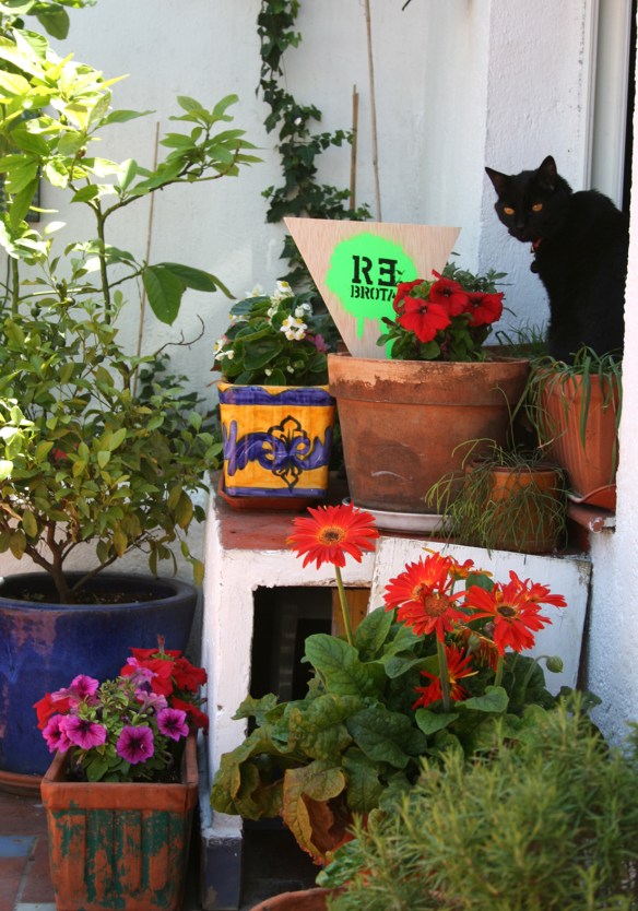 Rebrota_malasaña_terraza_madrid_rojomenta