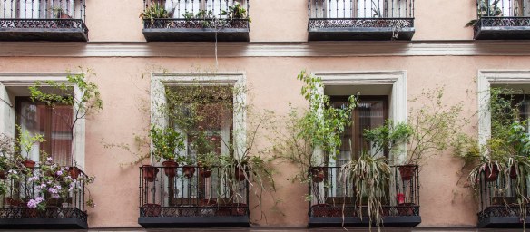 casa_encendida_jardineria_rojomenta